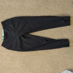 Birddogs Tiger Woulds